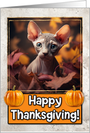 Sphynx Kitten Happy Thanksgiving card