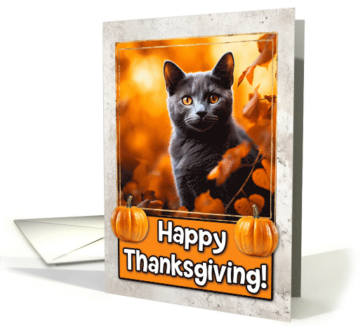 Russian Blue Cat Happy Thanksgiving card (1794308)