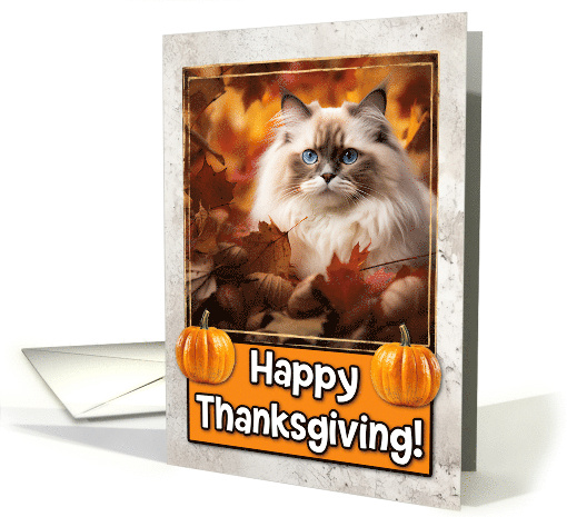 Ragdoll Cat Happy Thanksgiving card (1794310)