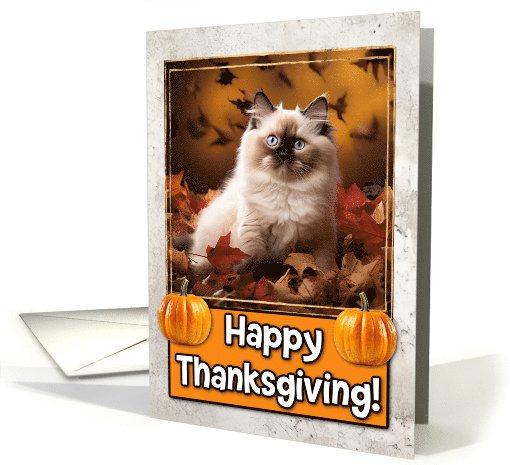 Ragdoll Kitten Happy Thanksgiving card (1794312)