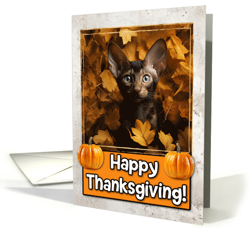 Oriental Shorthair Kitten Happy Thanksgiving card (1794320)