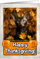 Oriental Shorthair Kitten Happy Thanksgiving card