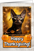Oriental Shorthair Cat Happy Thanksgiving card