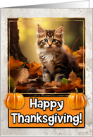 Norwegian Forrest Kitten Happy Thanksgiving card