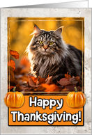 Norwegian Forrest Cat Happy Thanksgiving card