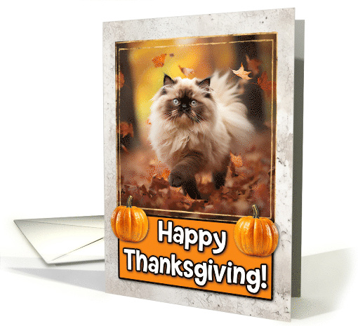 Himalayan Cat Happy Thanksgiving card (1794334)