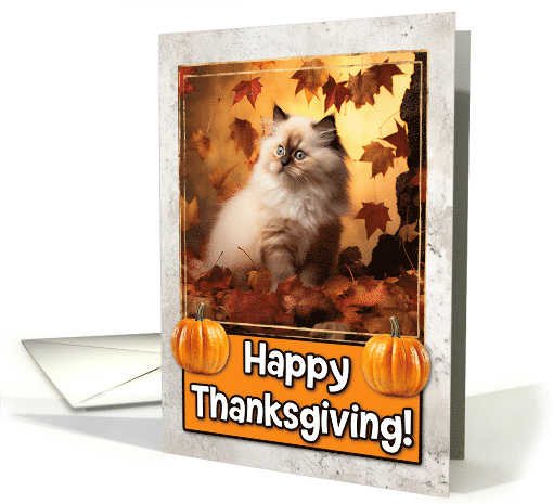 Himalayan Kitten Happy Thanksgiving card (1794336)