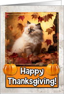 Himalayan Kitten Happy Thanksgiving card