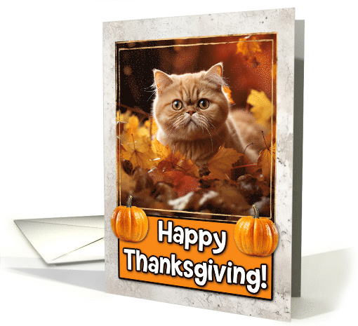 Exotic Shorthair Cat Happy Thanksgiving card (1794344)