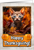 Devon Rex Kitten Happy Thanksgiving card