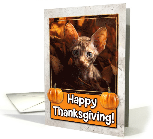 Cornish Rex Kitten Happy Thanksgiving card (1794352)