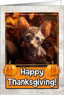 Cornish Rex Kitten Happy Thanksgiving card