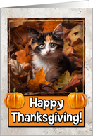 Calico Kitten Happy Thanksgiving card