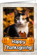 Calico Cat Happy Thanksgiving card