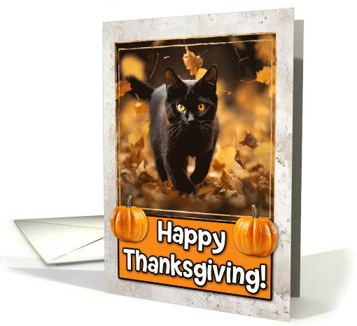 Black Cat Happy Thanksgiving card (1794366)