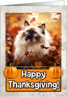 Birman Cat Happy Thanksgiving card