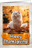 Angora Cat Happy Thanksgiving card