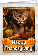 Abyssinian Kitten Happy Thanksgiving card