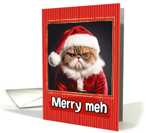 Santa Kitty Merry Meh Humorous Christmas card (1795020)
