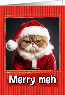 Santa Kitty Merry Meh Humorous Christmas card