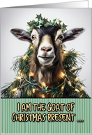 Goat Humorous Christmas card