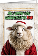 Santa Ewe Christmas