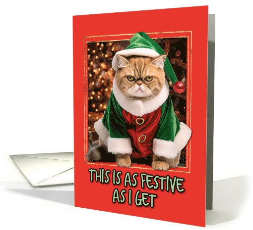 Elf Kitty Festive Humorous Christmas card (1795036)