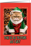 Elf Kitty Festive Humorous Christmas card