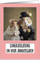 Hamster Couple...