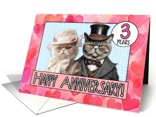 3 Years Wedding Anniversary Cat Bride and Groom card (1795186)