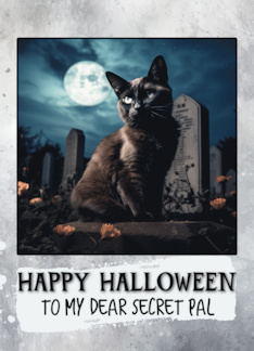 Secret Pal Happy Halloween Black Cat