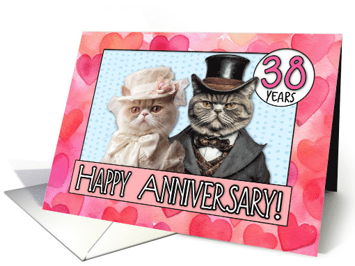 38 Years Wedding Anniversary Cat Bride and Groom card (1796004)