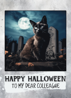 Colleague Happy Halloween Black Cat