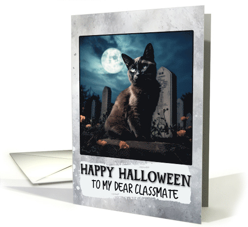 Classmate Happy Halloween Black Cat card (1796570)