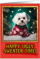 Maltese Ugly Sweater Christmas card