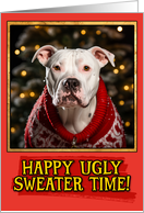 Dogo Argentino Ugly Sweater Christmas card