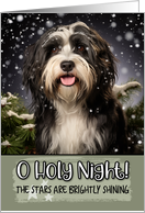 Tibetan Terrier O Holy Night Christmas card