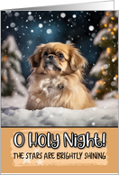 Tibetan Spaniel O Holy Night Christmas card