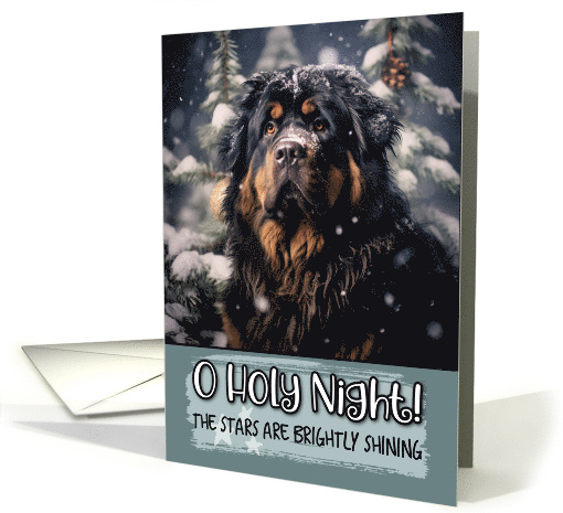 Tibetan Mastiff O Holy Night Christmas card (1799484)