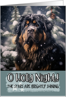 Tibetan Mastiff O Holy Night Christmas card