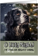 Stabyhoun O Holy Night Christmas card