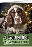 Springer Spaniel O Holy Night Christmas card