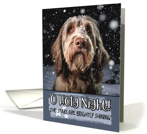 Spinone Italiano O Holy Night Christmas card (1799492)