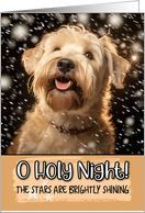Soft Coated Wheaten Terrier O Holy Night Christmas card