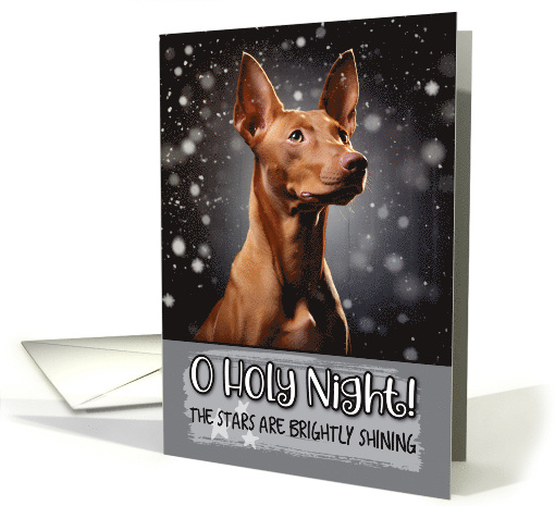 Pharaoh Hound O Holy Night Christmas card (1799502)