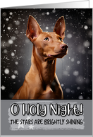 Pharaoh Hound O Holy Night Christmas card