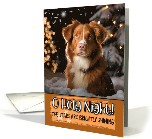Nova Scotia Duck Tolling Retriever O Holy Night Christmas card