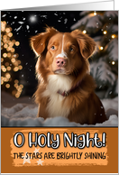 Nova Scotia Duck Tolling Retriever O Holy Night Christmas card
