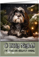 Lowchen O Holy Night Christmas card