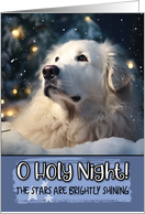 Kuvasz O Holy Night Christmas card